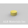 12.7mm dia. x 6.35mm thick Plastic Coated Magnets | D-D12.7H6.35/R