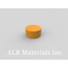 12.7mm dia. x 6.35mm thick Plastic Coated Magnets | D-D12.7H6.35/Y